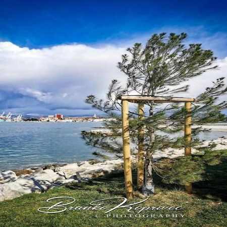 Apartma Libris Koper Dış mekan fotoğraf